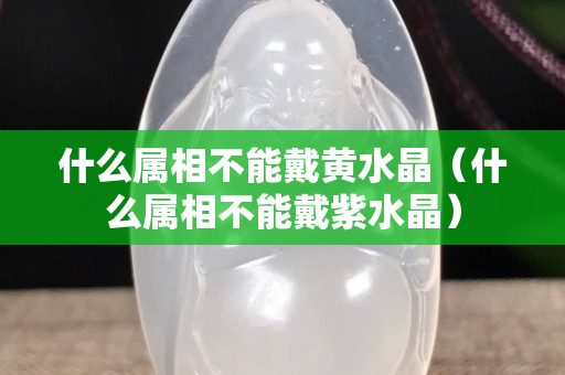 什么屬相不能戴黃水晶（什么屬相不能戴紫水晶）