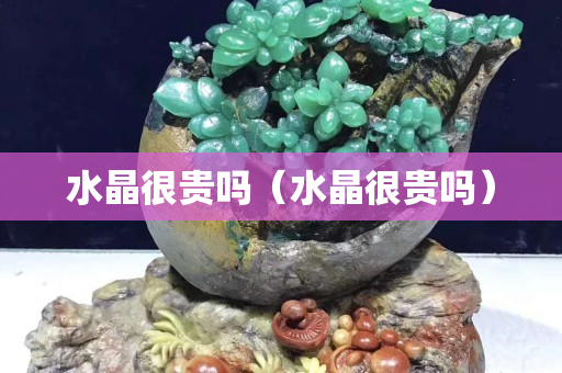 水晶很貴嗎（水晶很貴嗎）