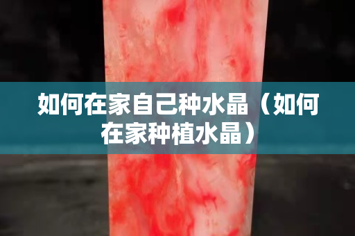 如何在家自己種水晶（如何在家種植水晶）