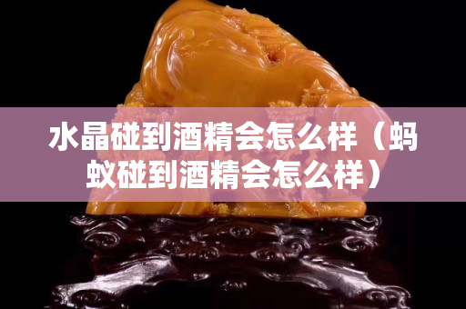 水晶碰到酒精會(huì)怎么樣（螞蟻碰到酒精會(huì)怎么樣）