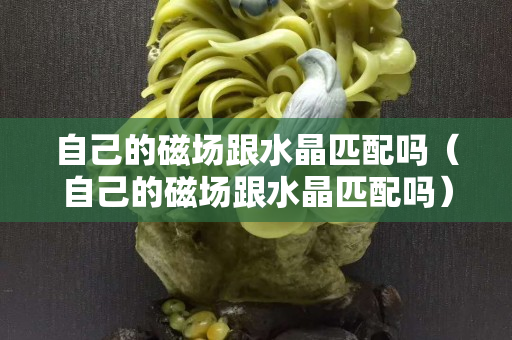 自己的磁場跟水晶匹配嗎（自己的磁場跟水晶匹配嗎）