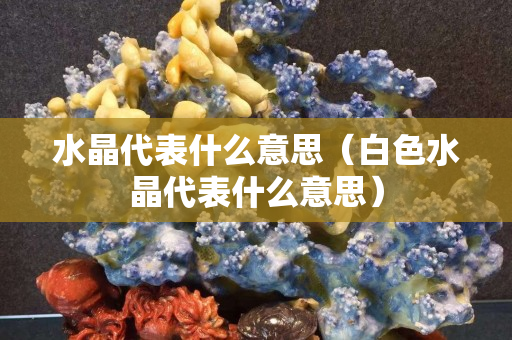 水晶代表什么意思（白色水晶代表什么意思）