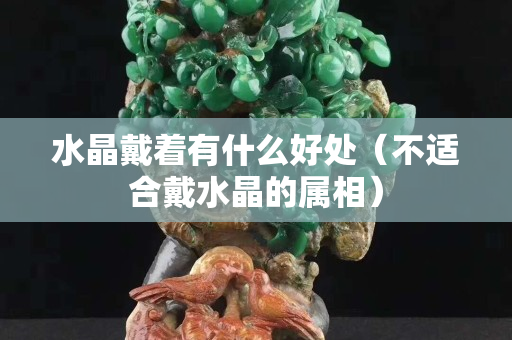水晶戴著有什么好處（不適合戴水晶的屬相）