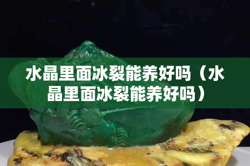水晶里面冰裂能養好嗎（水晶里面冰裂能養好嗎）