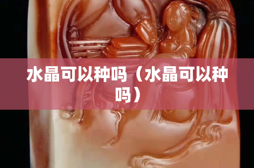 水晶可以種嗎（水晶可以種嗎）