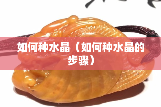 如何種水晶（如何種水晶的步驟）