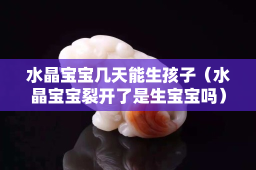 水晶寶寶幾天能生孩子（水晶寶寶裂開了是生寶寶嗎）