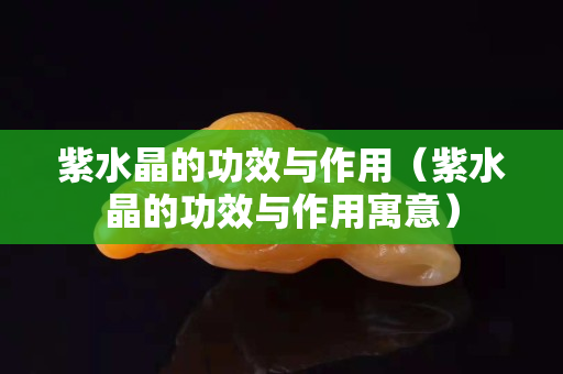 紫水晶的功效與作用（紫水晶的功效與作用寓意）