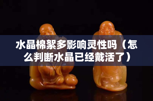 水晶棉絮多影響靈性嗎（怎么判斷水晶已經(jīng)戴活了）