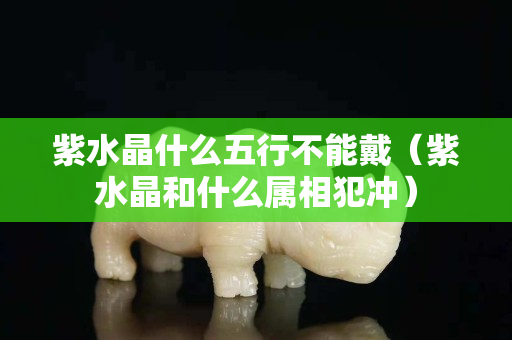 紫水晶什么五行不能戴（紫水晶和什么屬相犯沖）