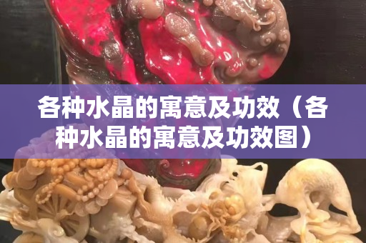 各種水晶的寓意及功效（各種水晶的寓意及功效圖）