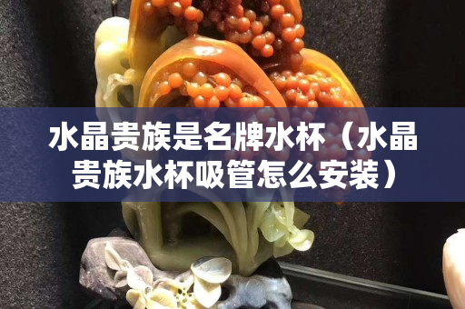 水晶貴族是名牌水杯（水晶貴族水杯吸管怎么安裝）