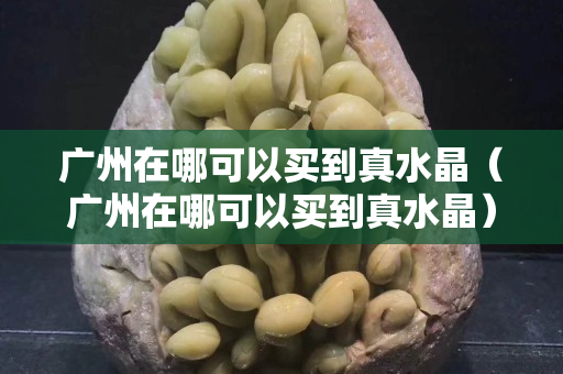 廣州在哪可以買到真水晶（廣州在哪可以買到真水晶）