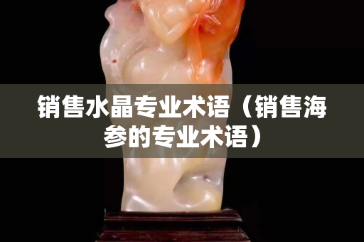 銷售水晶專業(yè)術語（銷售海參的專業(yè)術語）