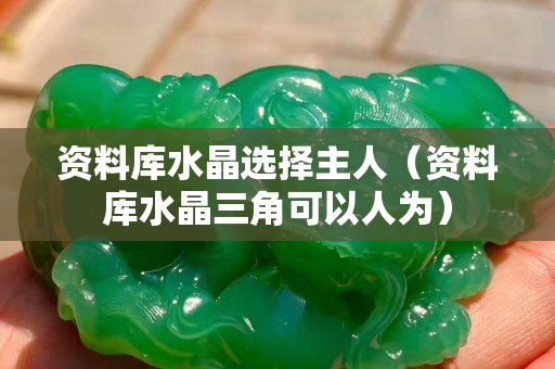 資料庫水晶選擇主人（資料庫水晶三角可以人為）