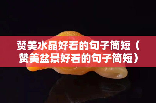 贊美水晶好看的句子簡短（贊美盆景好看的句子簡短）