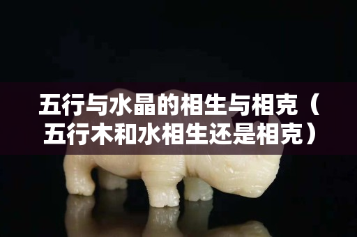 五行與水晶的相生與相克（五行木和水相生還是相克）