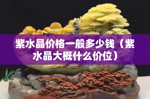 紫水晶價格一般多少錢（紫水晶大概什么價位）