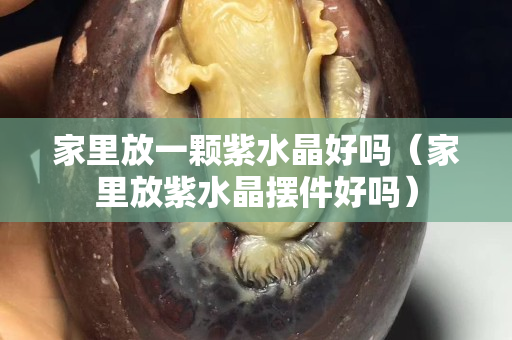 家里放一顆紫水晶好嗎（家里放紫水晶擺件好嗎）