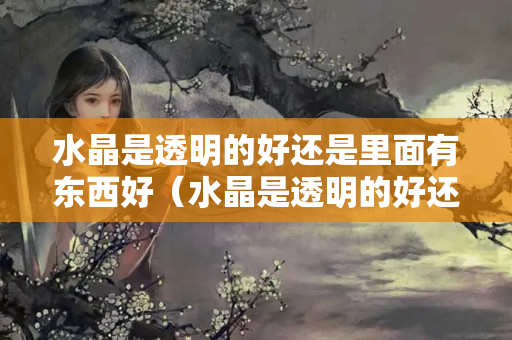 水晶是透明的好還是里面有東西好（水晶是透明的好還是里面有東西好）