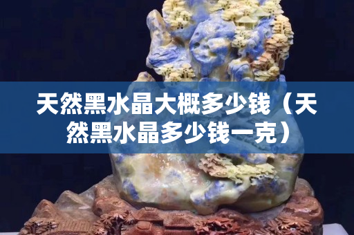 天然黑水晶大概多少錢（天然黑水晶多少錢一克）