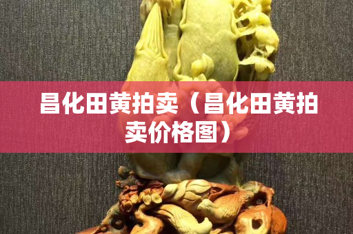 昌化田黃拍賣（昌化田黃拍賣價格圖）