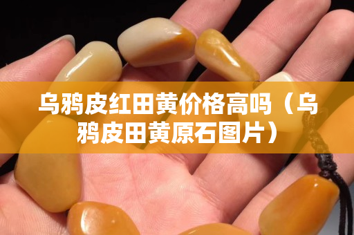 烏鴉皮紅田黃價格高嗎（烏鴉皮田黃原石圖片）