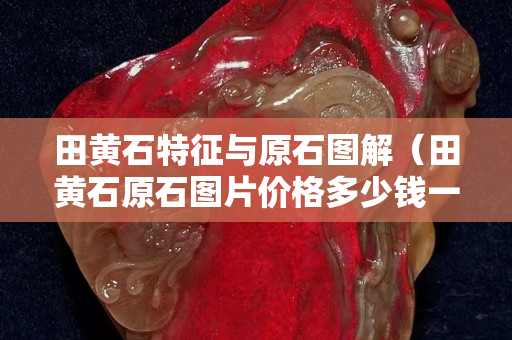 田黃石特征與原石圖解（田黃石原石圖片價格多少錢一克）