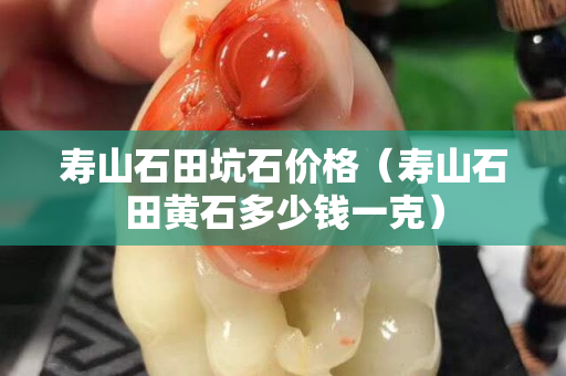 壽山石田坑石價格（壽山石田黃石多少錢一克）