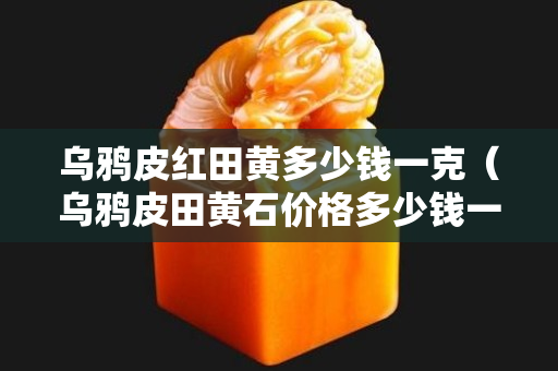 烏鴉皮紅田黃多少錢一克（烏鴉皮田黃石價(jià)格多少錢一克）