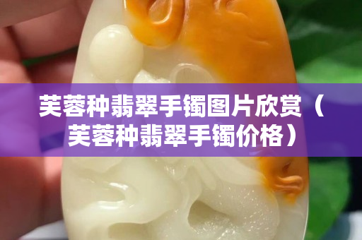 芙蓉種翡翠手鐲圖片欣賞（芙蓉種翡翠手鐲價格）
