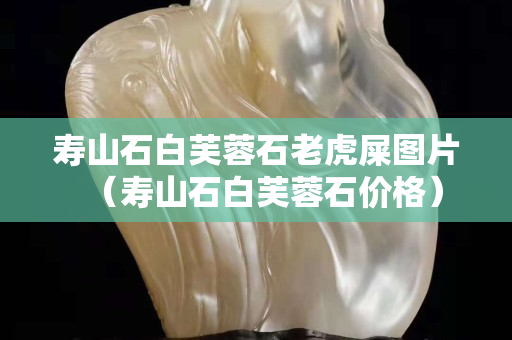 壽山石白芙蓉石老虎屎圖片（壽山石白芙蓉石價(jià)格）