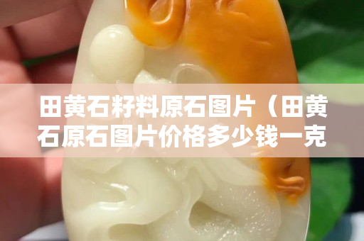 田黃石籽料原石圖片（田黃石原石圖片價(jià)格多少錢(qián)一克）