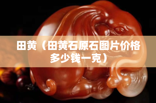 田黃（田黃石原石圖片價(jià)格多少錢一克）