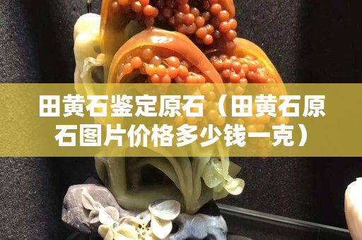 田黃石鑒定原石（田黃石原石圖片價(jià)格多少錢一克）