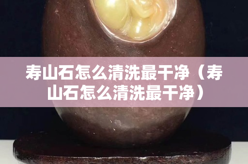 壽山石怎么清洗最干凈（壽山石怎么清洗最干凈）