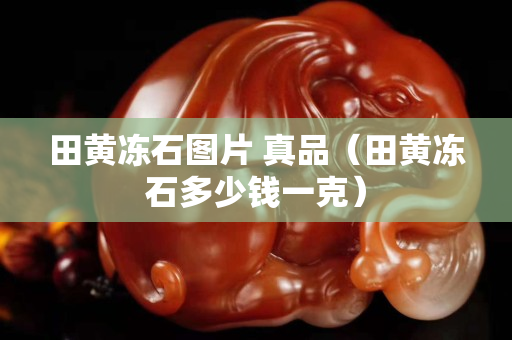 田黃凍石圖片 真品（田黃凍石多少錢一克）