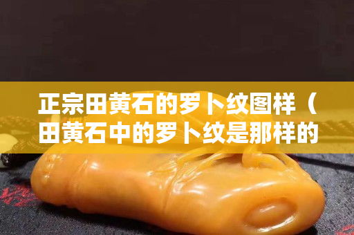 正宗田黃石的羅卜紋圖樣（田黃石中的羅卜紋是那樣的）