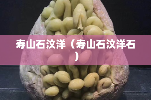 壽山石汶洋（壽山石汶洋石）