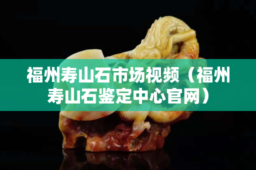 福州壽山石市場(chǎng)視頻（福州壽山石鑒定中心官網(wǎng)）