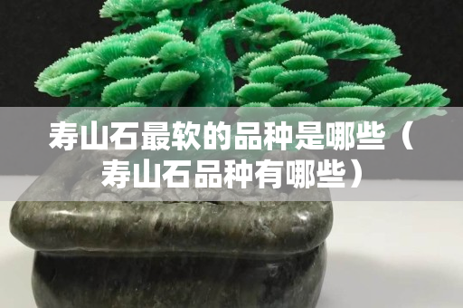 壽山石最軟的品種是哪些（壽山石品種有哪些）