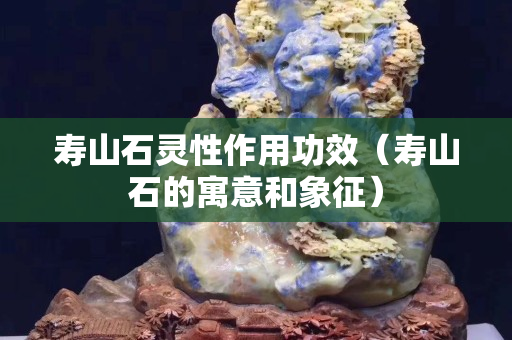 壽山石靈性作用功效（壽山石的寓意和象征）