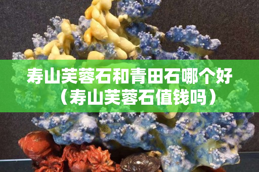 壽山芙蓉石和青田石哪個好（壽山芙蓉石值錢嗎）