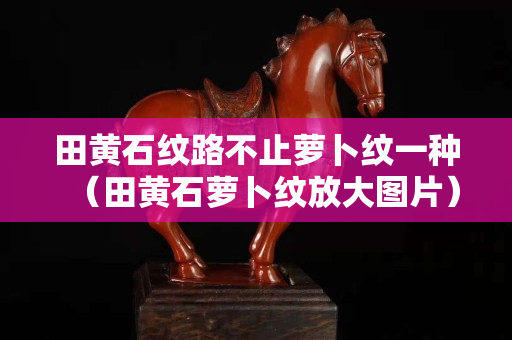 田黃石紋路不止蘿卜紋一種（田黃石蘿卜紋放大圖片）