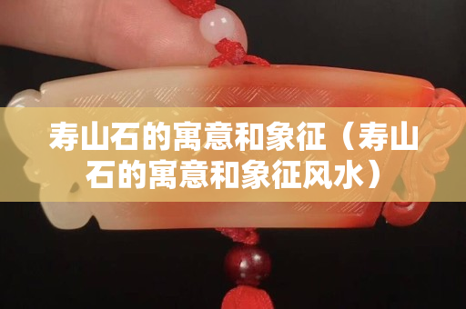 壽山石的寓意和象征（壽山石的寓意和象征風水）