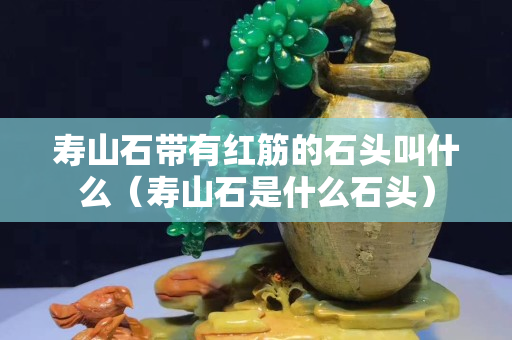 壽山石帶有紅筋的石頭叫什么（壽山石是什么石頭）