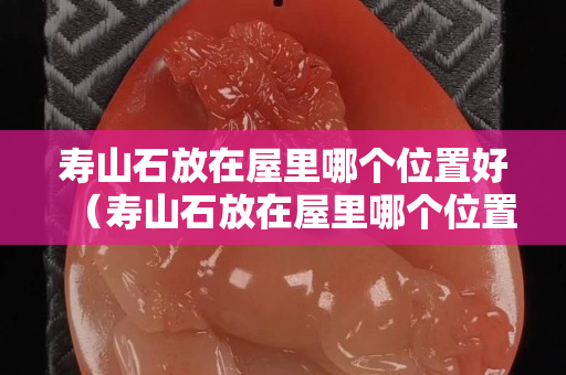壽山石放在屋里哪個(gè)位置好（壽山石放在屋里哪個(gè)位置好一點(diǎn)呢）