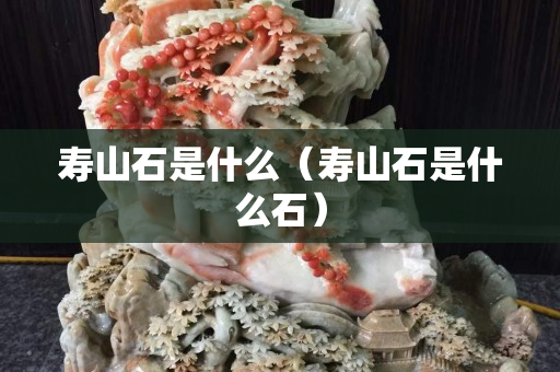 壽山石是什么（壽山石是什么石）