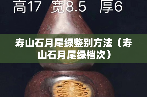 壽山石月尾綠鑒別方法（壽山石月尾綠檔次）