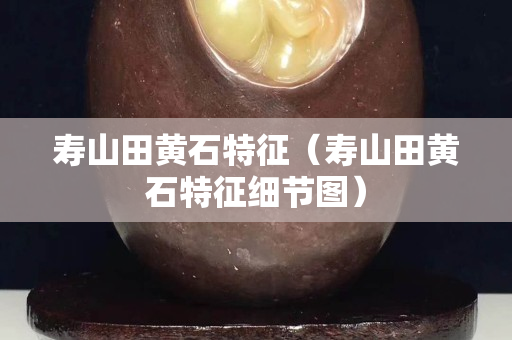 壽山田黃石特征（壽山田黃石特征細節圖）